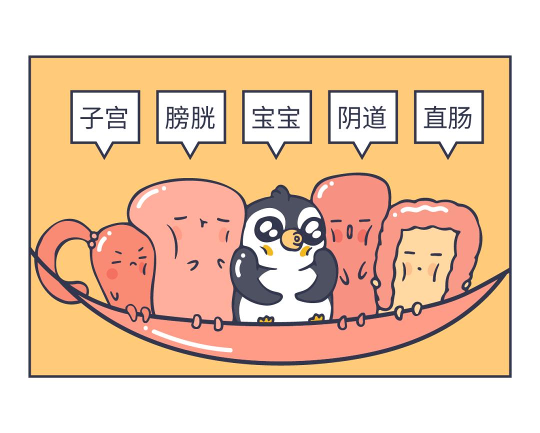 一不小心就湿了，上亿中国女性产后的难言之隐