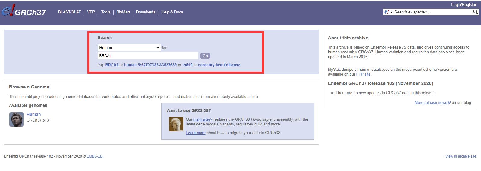 使用Ensembl数据库批量*载下**基因SNP位点信息
