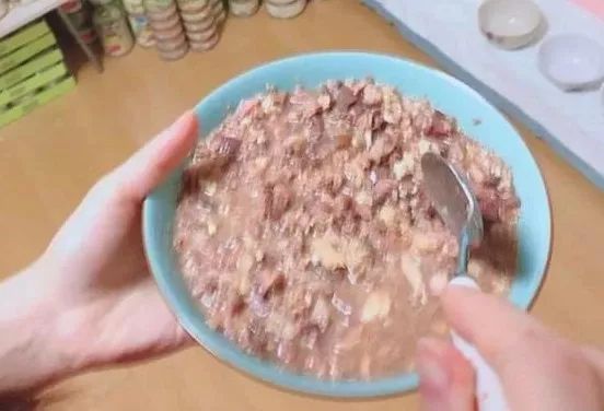 猫窝老是被猫咪压塌,猫窝总被压趴怎么办