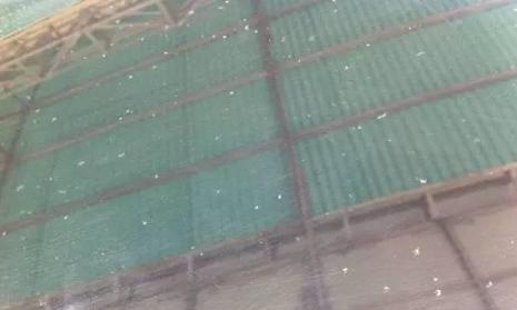 洗车有些小毛病,自己动手洗车要注意哪些问题