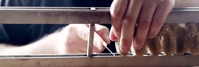 鍖呯鏃ヨ鍏ㄩ泦瑙h,鍖呯鏃ヨ鎺ㄨ崘