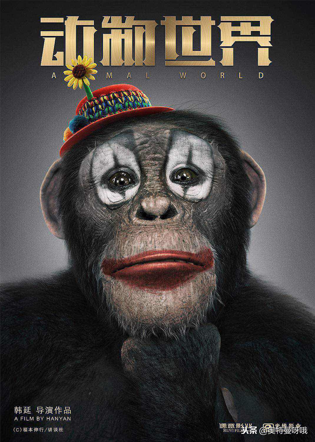 动物世界的伏笔,动物世界蕴藏的人生哲理