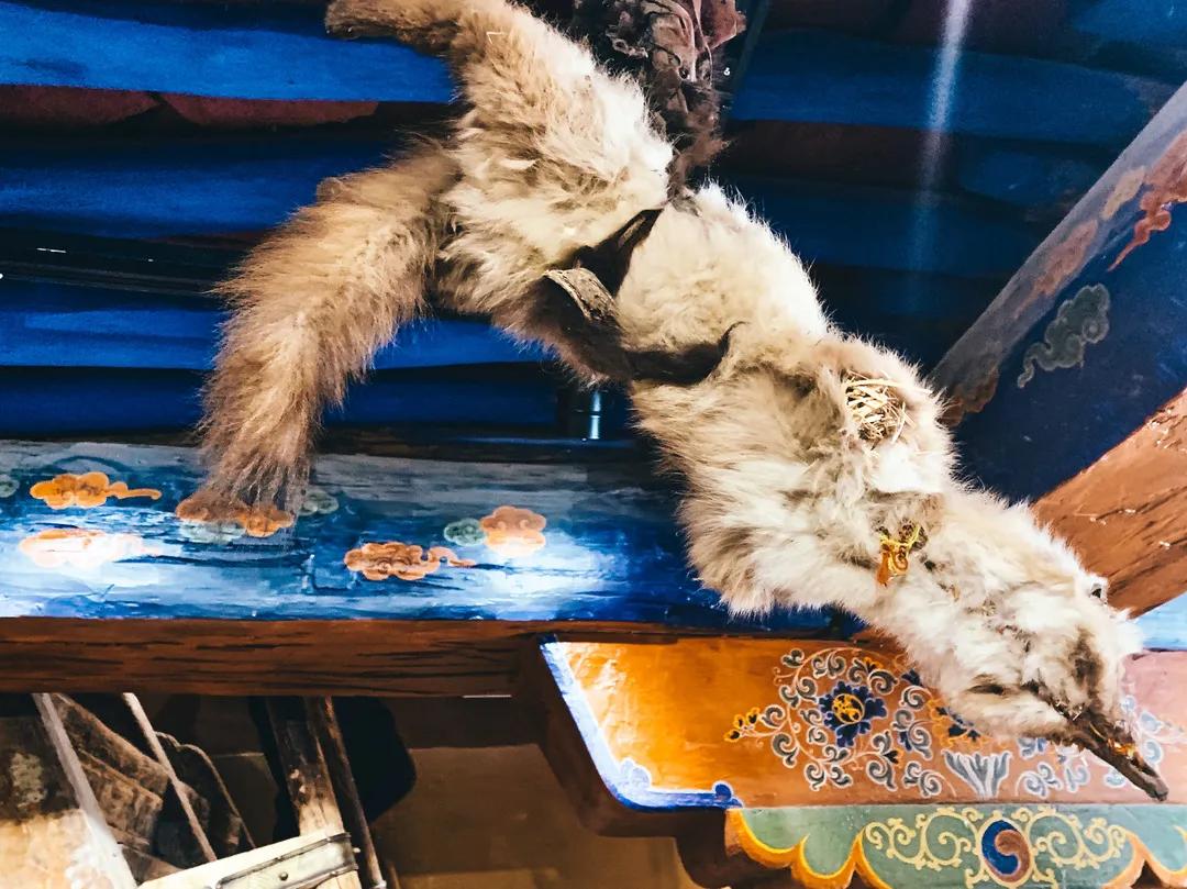 屋内天地|你看不懂的藏式朱甍