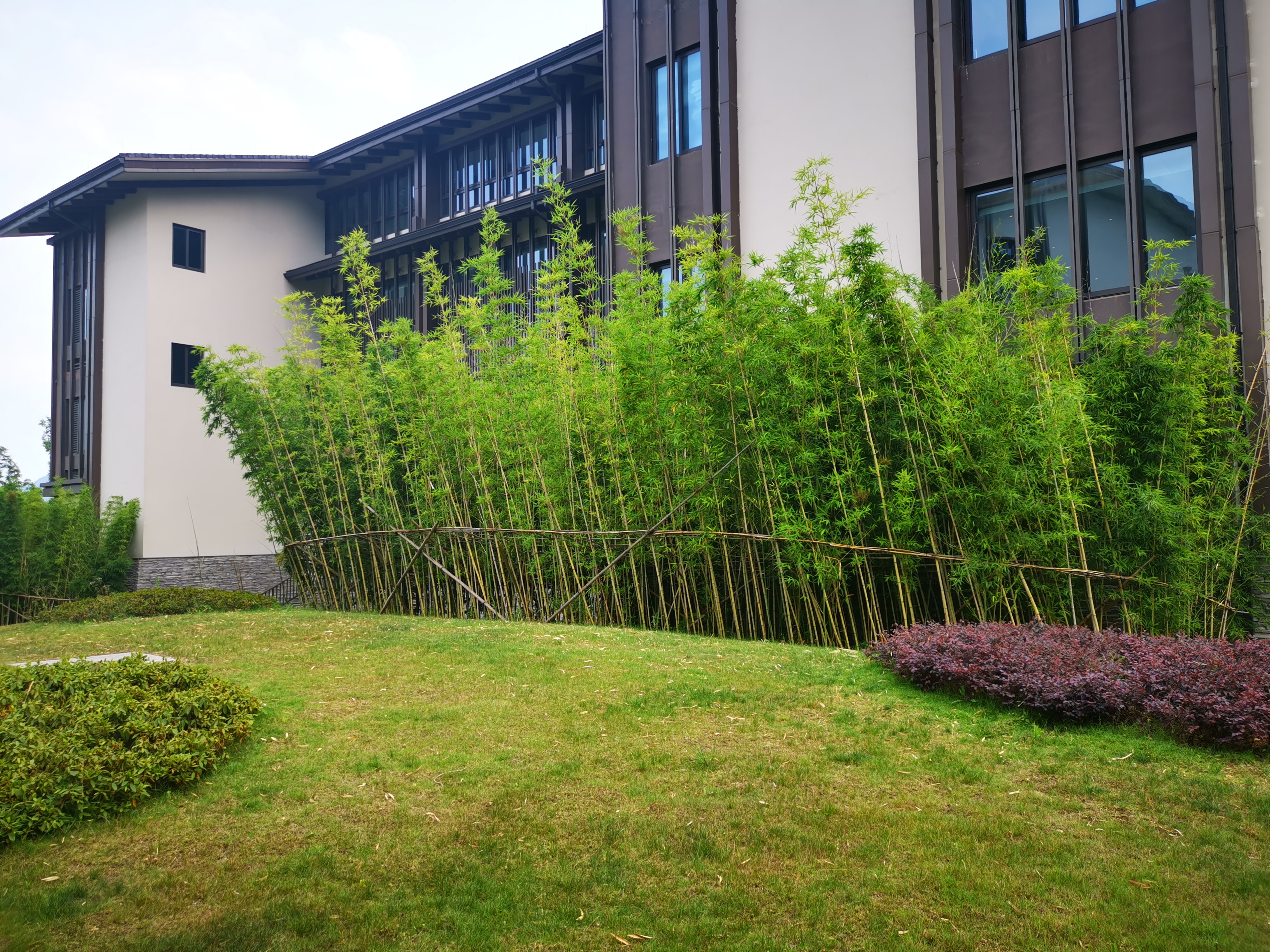 带娃体验生活好去处,带娃去最好的亲子酒店