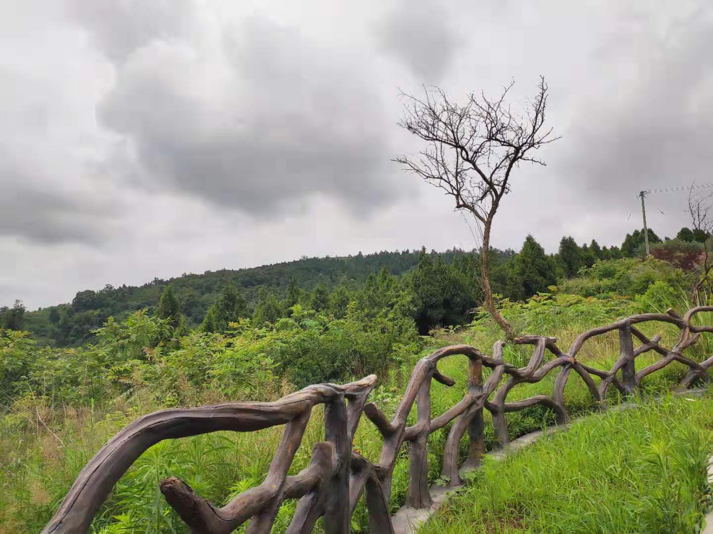 成都周边游金堂,成都金堂周边一日游推荐网红