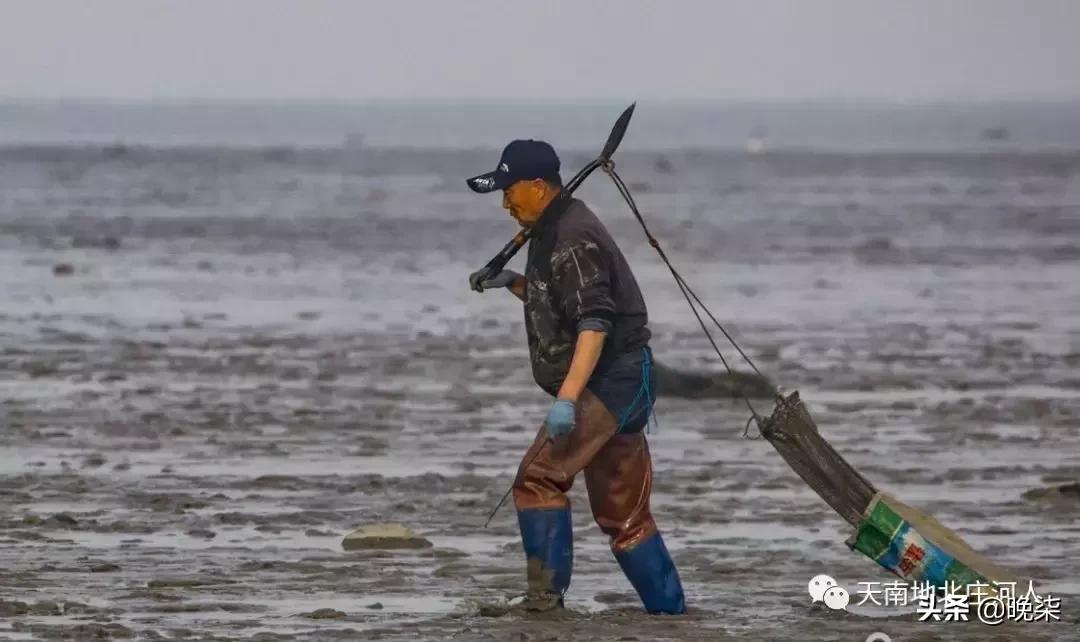 大连庄河赶海排名第一名,庄河赶海网红视频