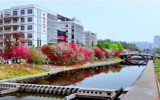 2022年三峡大学校招,三峡大学2024公开招聘