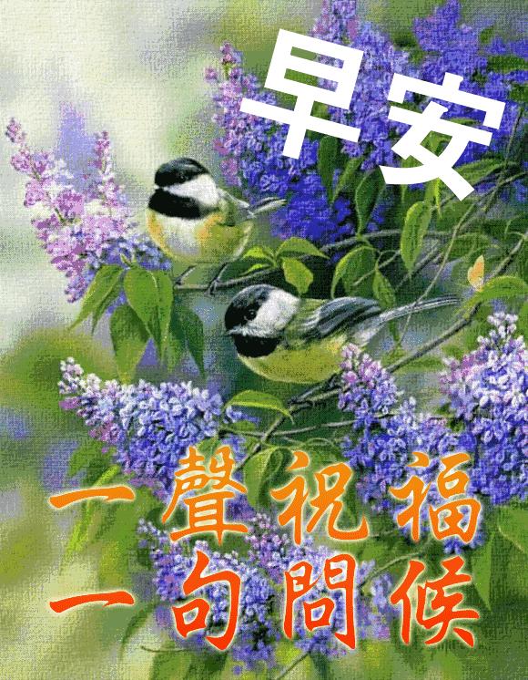 一句简单干净的早安语早安图片,最美的早安问候语带字大图片