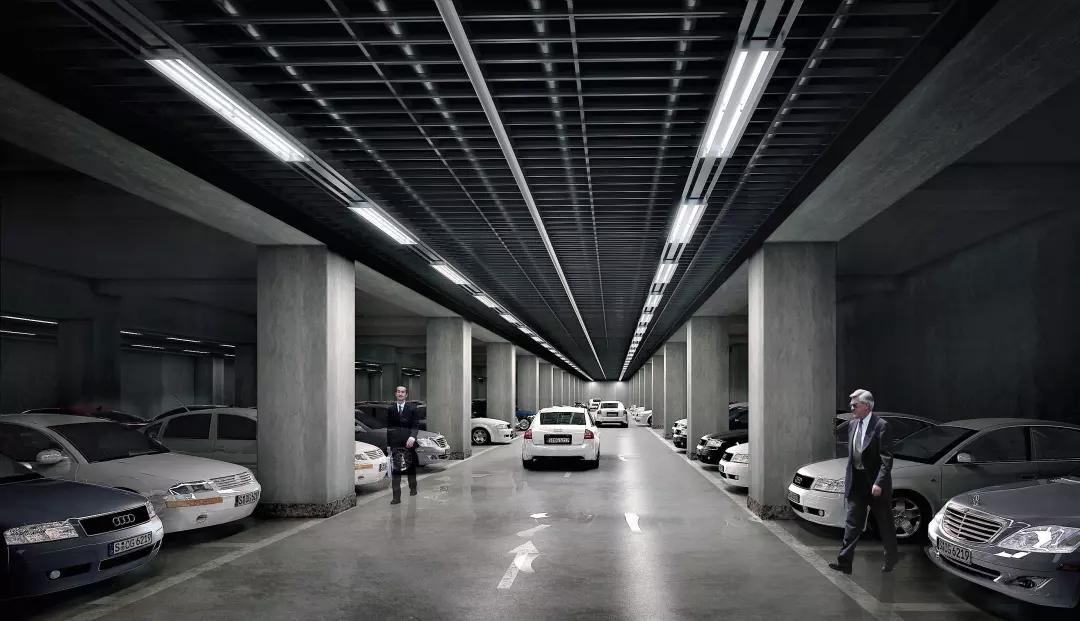 猫总是钻入汽车发动机舱如何处理,如何防止小猫钻进发动机舱