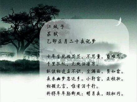 江城子苏轼最有名的一句,苏轼千古第一悼词