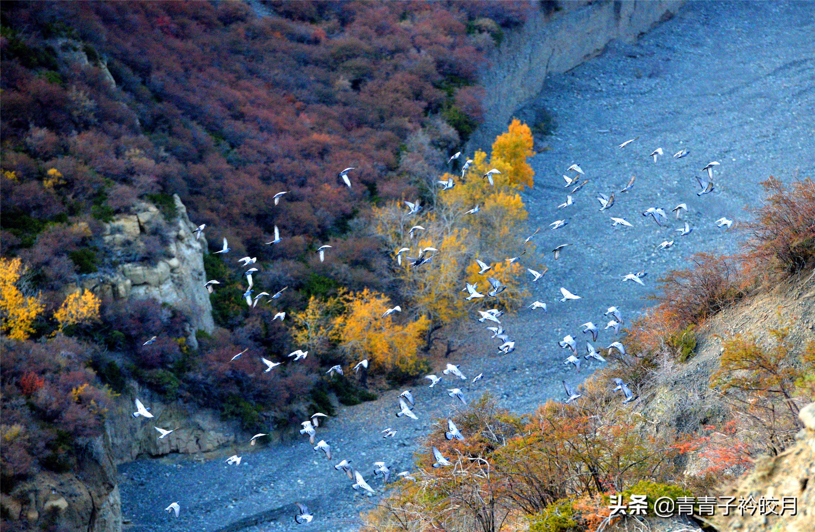 新疆的十大峡谷景点排名,新疆值得玩的大峡谷