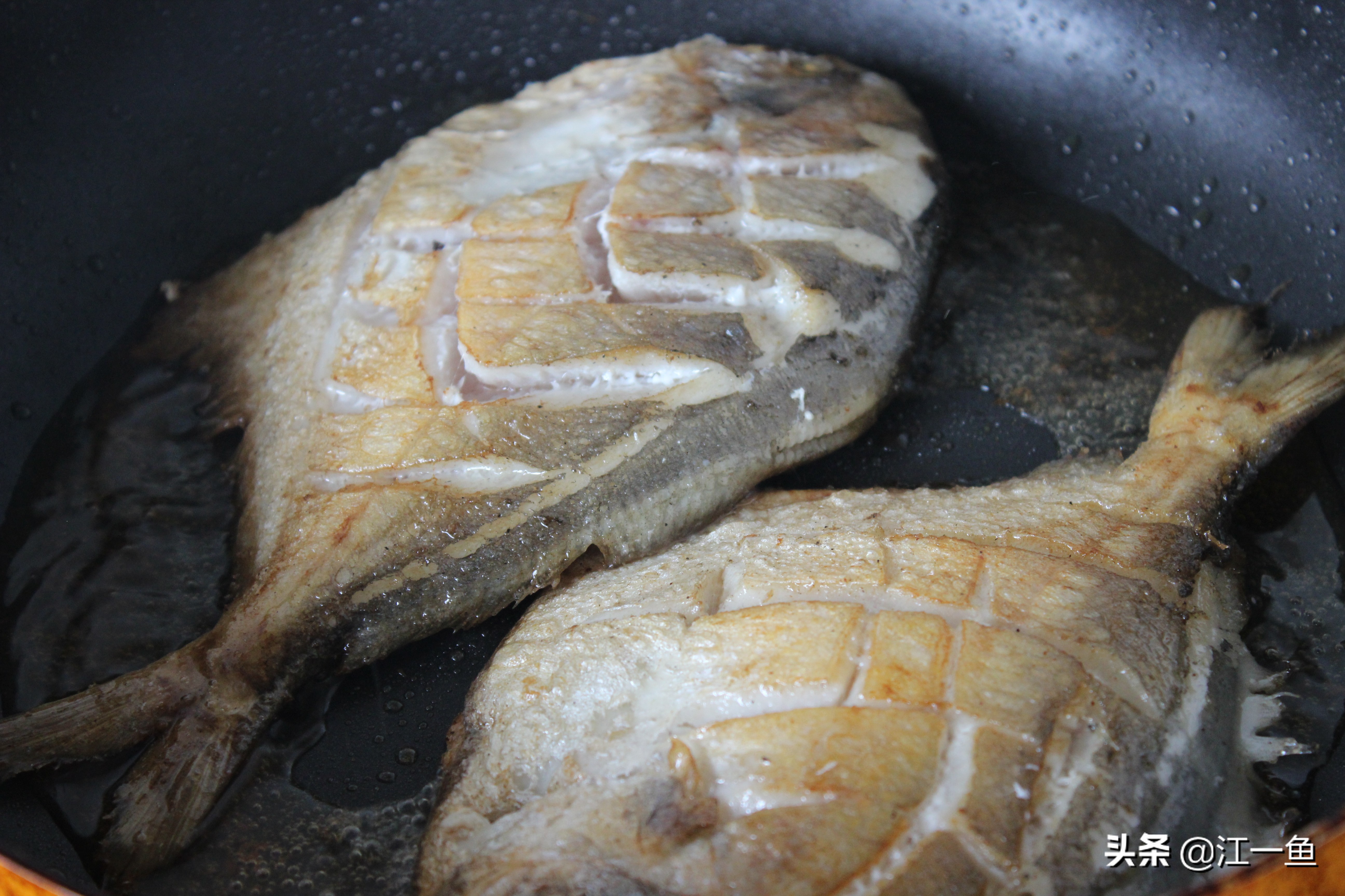 银鲳鱼清蒸好吃还是红烧好吃,红烧银鲳鱼正宗做法