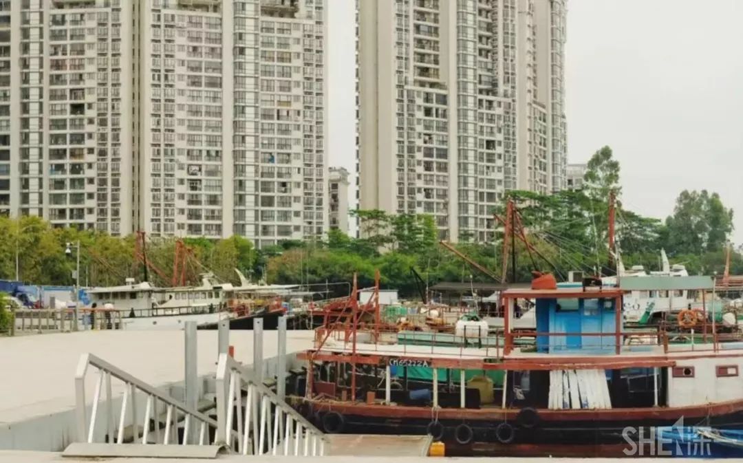 蛇口，传统与现代的并存