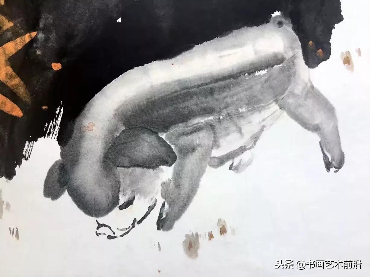 属猪的人2019年运势,属猪人2019的运程如何