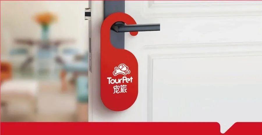 带着宠物去旅行的日常生活,想带着宠物一起旅游哪种好