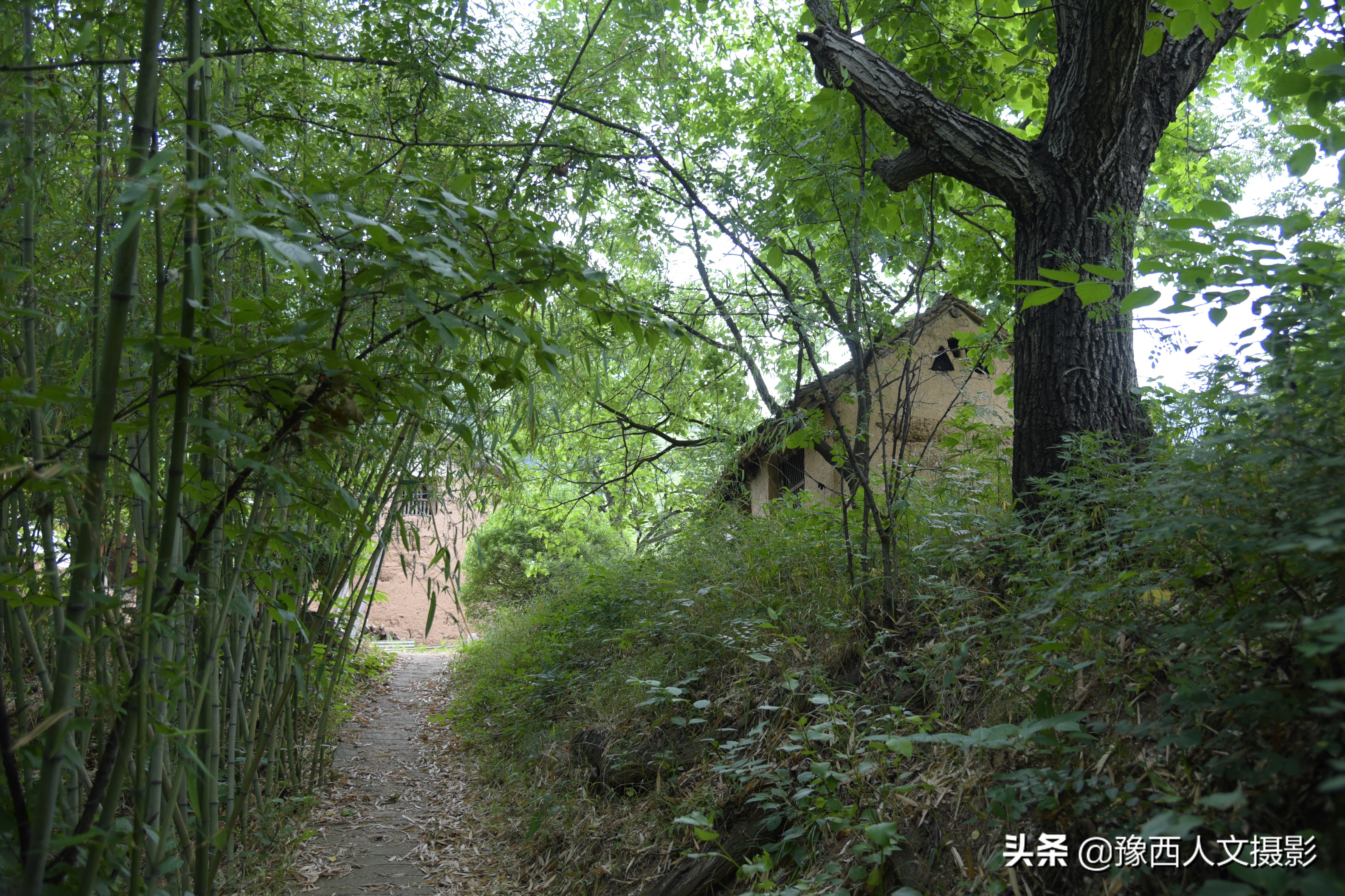 山里父亲10年前为儿子打算，藏一囤小麦两桶黄豆，娶媳妇却没用上