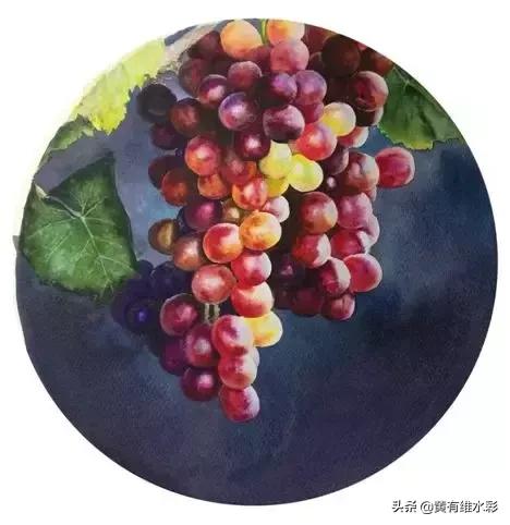 晶莹剔透的葡萄,水彩葡萄图片