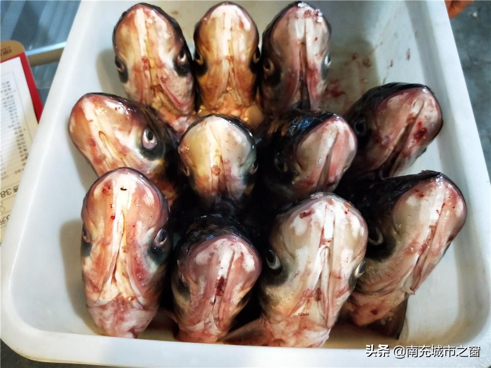 南充嘉陵九味美蛙鱼头,南充吃美蛙