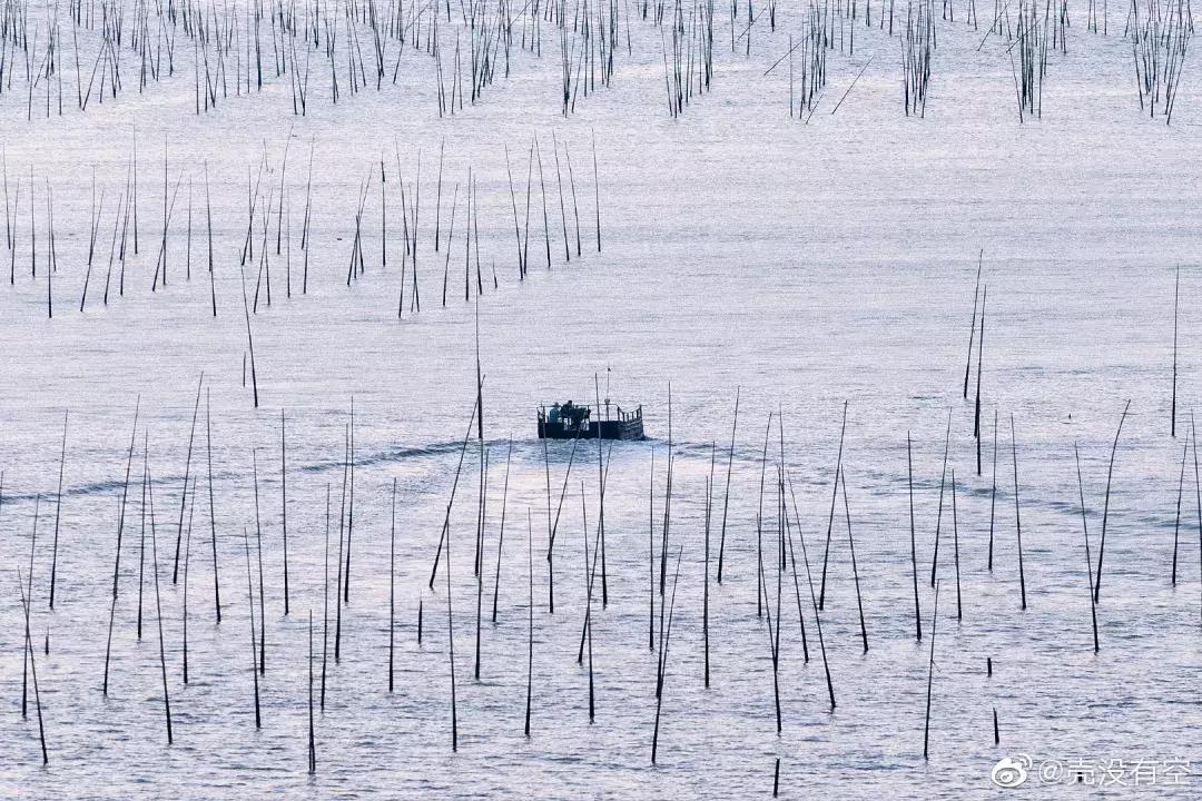 这么一片五彩滩涂奇幻仙境，超惊艳！在福建，厦门动车可以直达