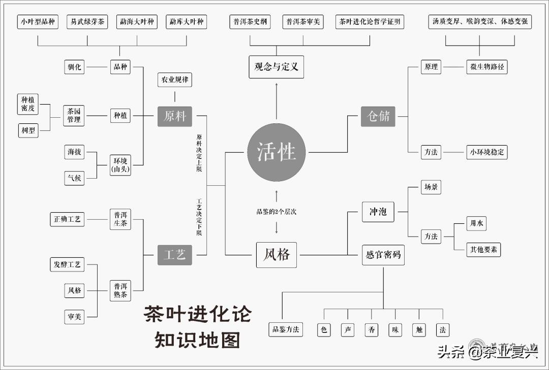 如果没有会喝易武茶的人，好茶的存在就没有意义