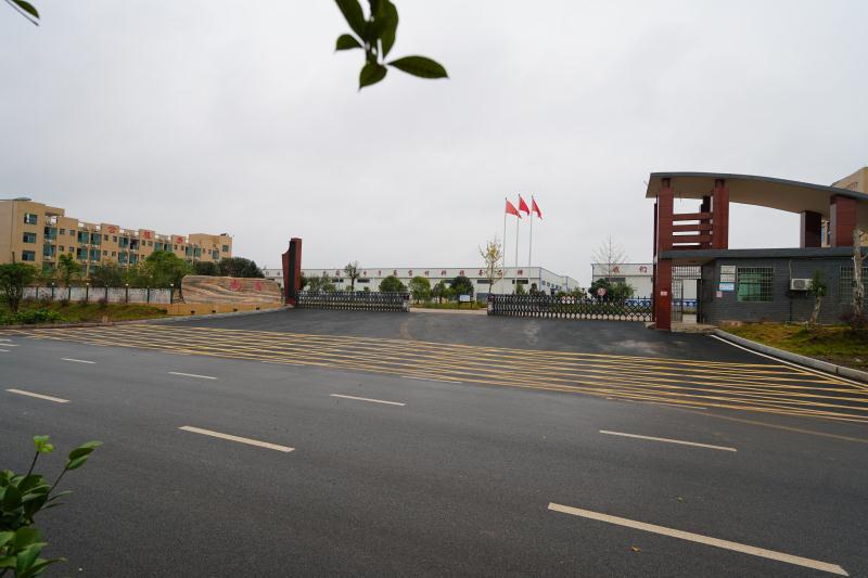 策马扬鞭奋新途,跃马扬鞭踏扶桑