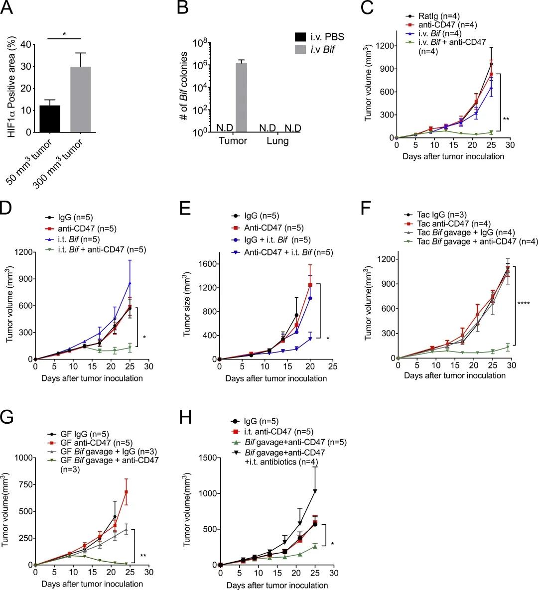 免疫治疗联合疗法,是敌是友重要吗