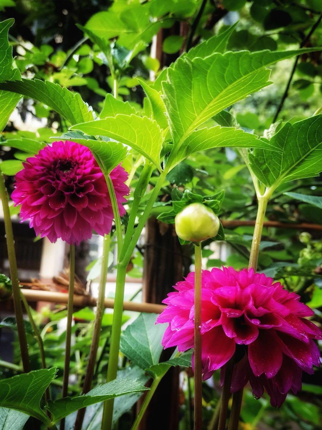 一句话让别人觉得你过得很好,让别人觉得你的好才是春风