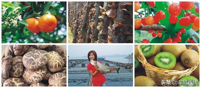 云招商发布会,2022年十堰招商项目