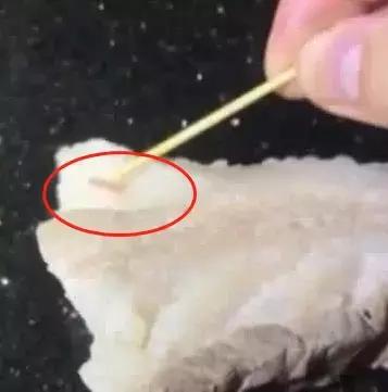 猪肉里发现虫子,猪肉里面有虫子取出来全过程