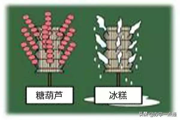 学而思未来体系怎么样,学而思和新东方转型