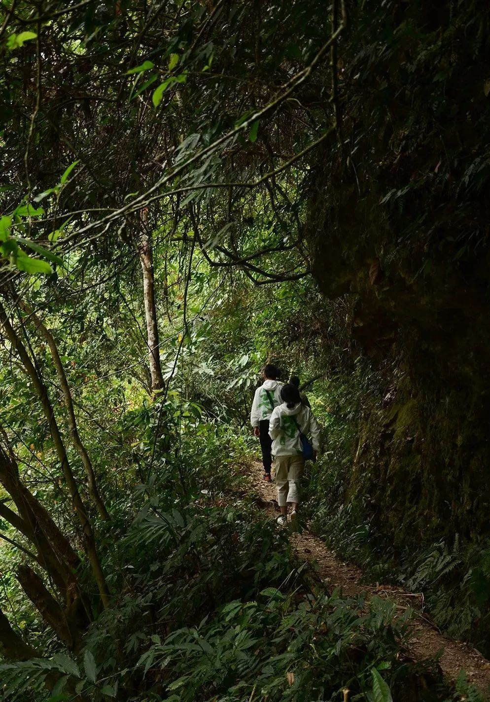新生代黑马之百花潭!汤香蕴郁百花香,世外桃源的茶,一喝就沉醉