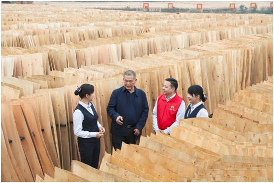 广西农信社各县排名,2018年广西农信社