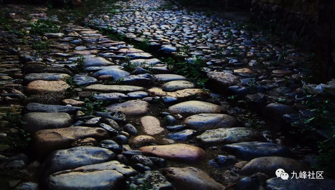 平和县九峰镇黄田村图片,平和县九峰镇黄田村