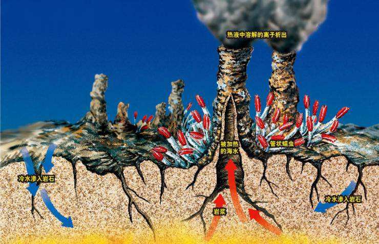 450度高温下虾怎么吃,海底450度的虾怎么煮熟