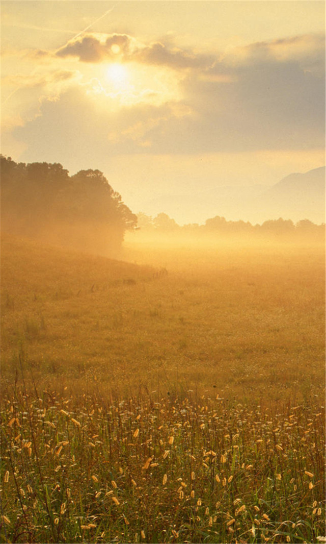 高清风景壁纸无水印全屏壁纸,风景壁纸手机壁纸