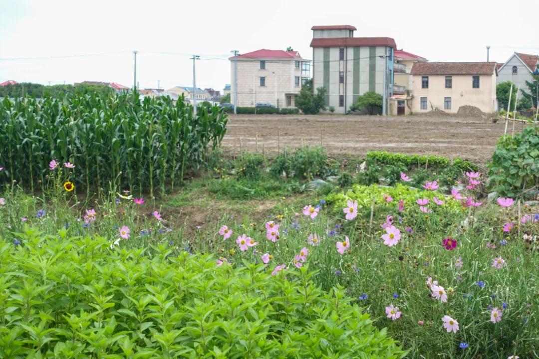 玩骑行和摄影,行走山野乡间赏田园风光