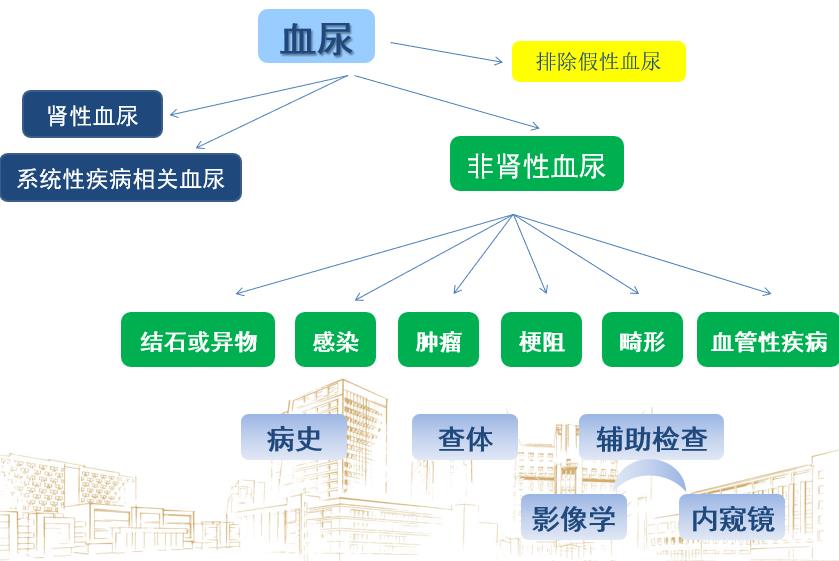尿出来的是血尿是什么原因,尿隐血会导致血尿吗