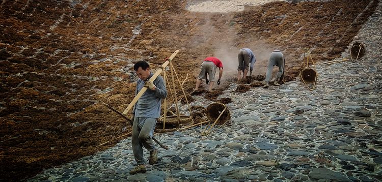 独家首创6大国赛助力国协积分）徽州百工景德镇瓷都人文风光摄影