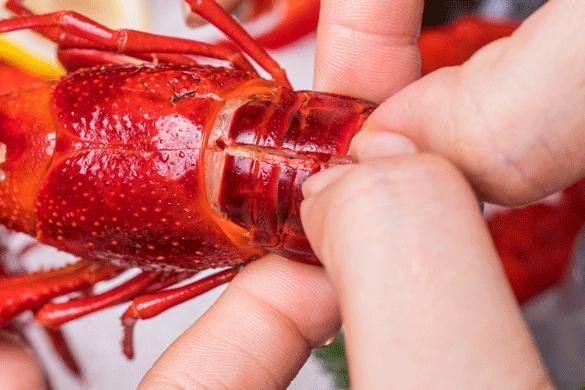 上海排名第一的海鲜自助,上海海鲜最新报价