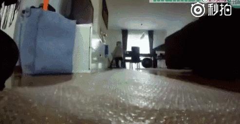 在家亲子运动游戏10岁,宅家一起做运动操