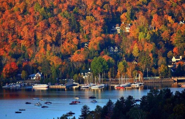 移民加拿大，我后悔但也不后悔