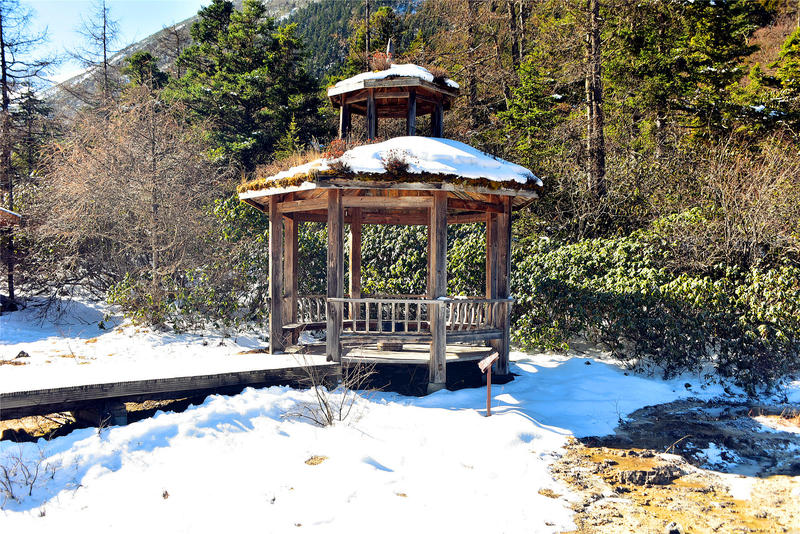 置身于童话中的九寨沟,畅游人间仙境黄龙九寨沟七日游