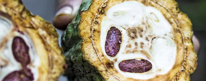 小巧克力球转动百亿美元，这家公司如何靠「送礼」逆袭中国市场？