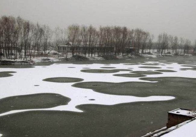 水霉病最快的治疗方法,水霉病治疗最佳方法