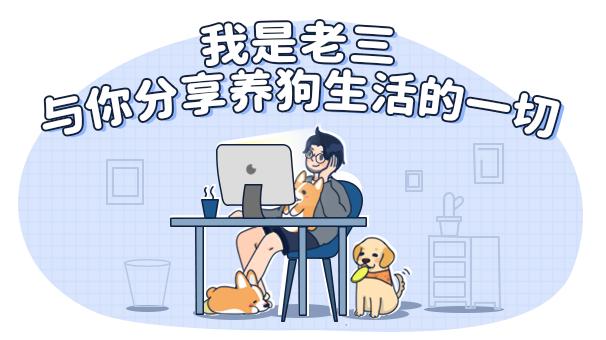 狗言狗语,中国的狗和外国的狗语言一样吗