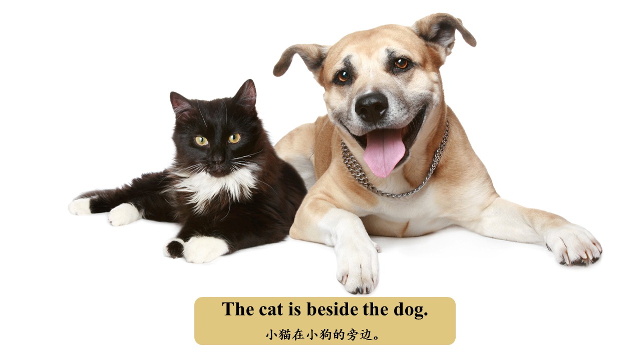 beside和except的区别,beside跟behind