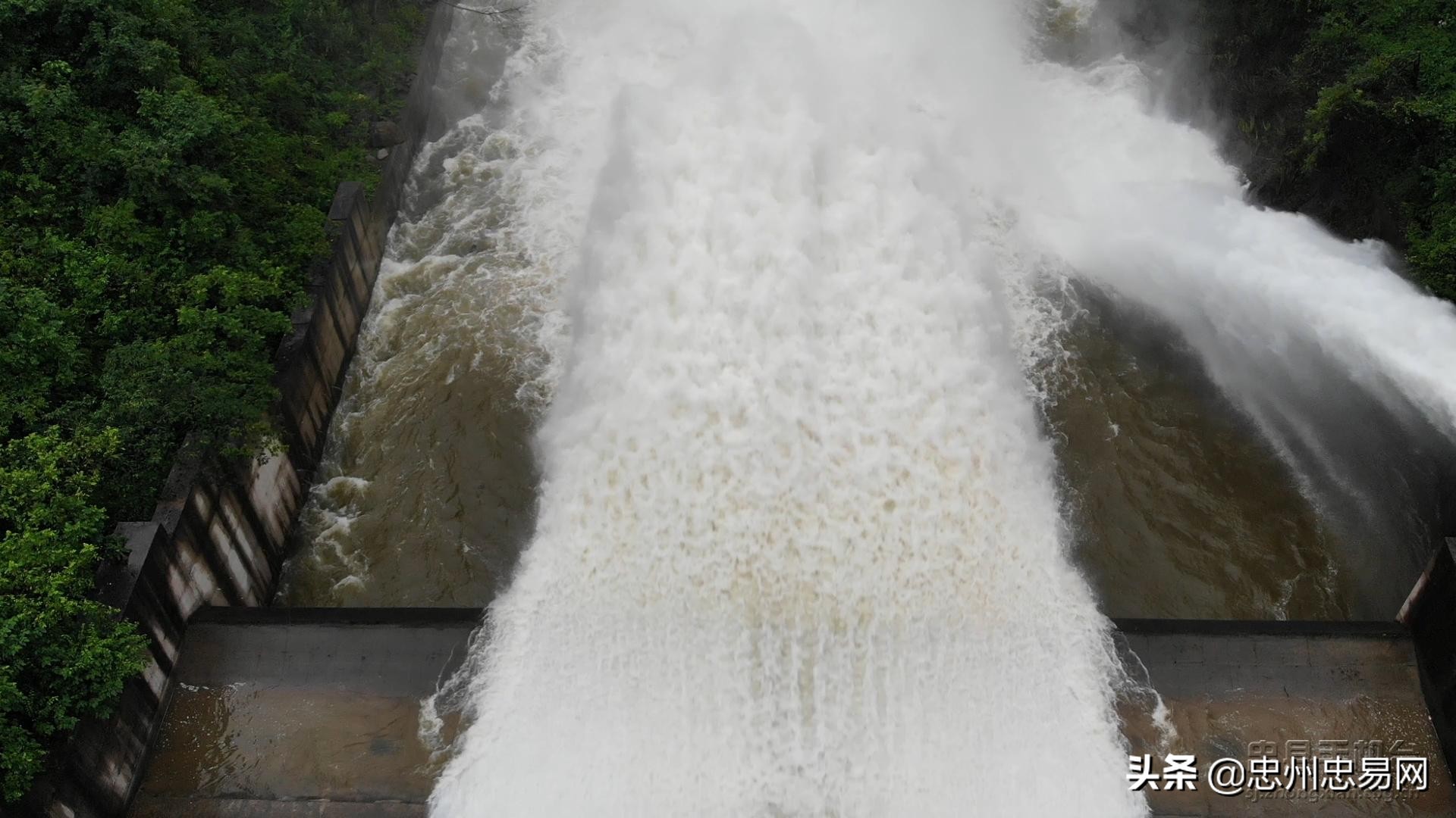 忠县白石水库最新消息,丹江口水库开闸泄洪大场面