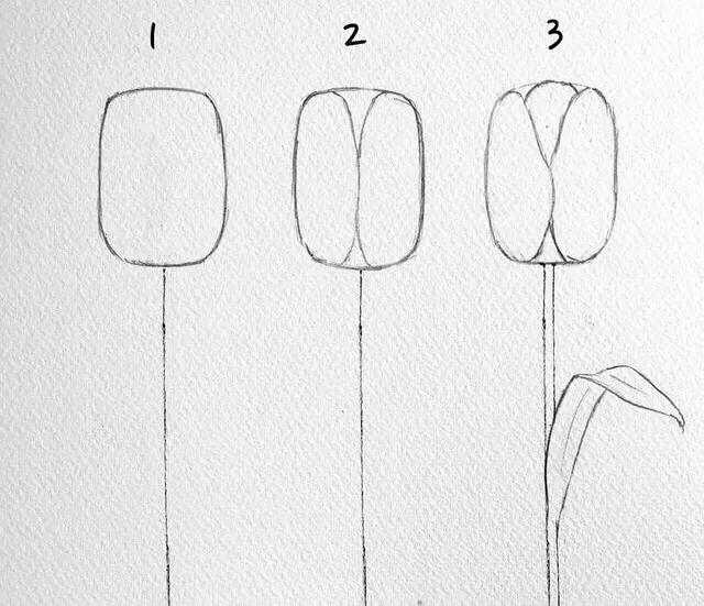 画花怎么才能画好看呢,教大家一个画花技巧