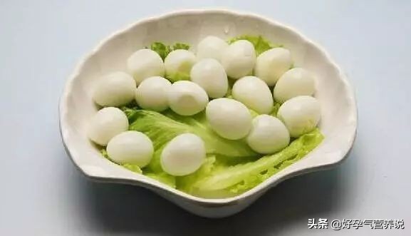 卵中佳品鹌鹑蛋,鹌鹑蛋卵的内部结构