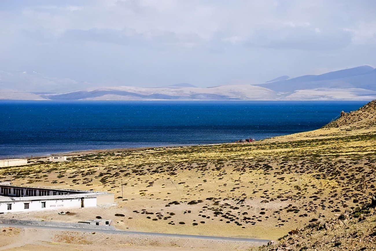 它们冷门，可却是如此幽静美丽
